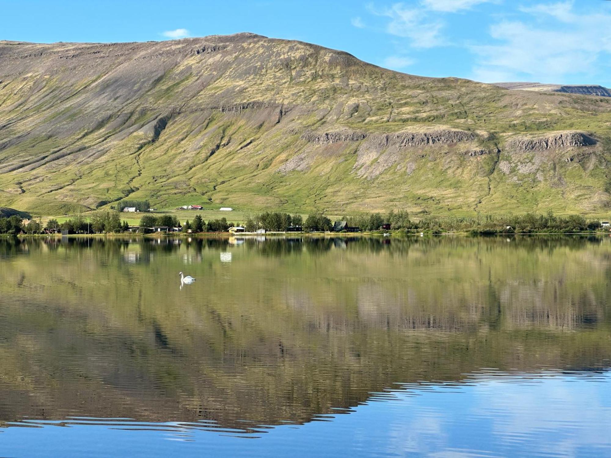 Cosy Lakeview Cabin 45 Minutes From Reykjavik Mosfellsbaer Exteriör bild